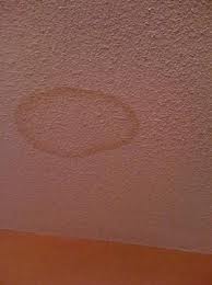 drywall stain